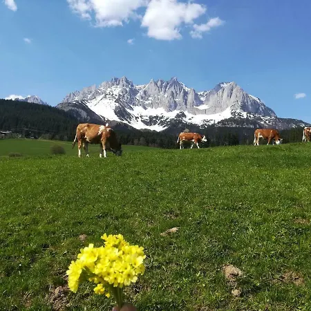 Hofer's Kaiserblick *